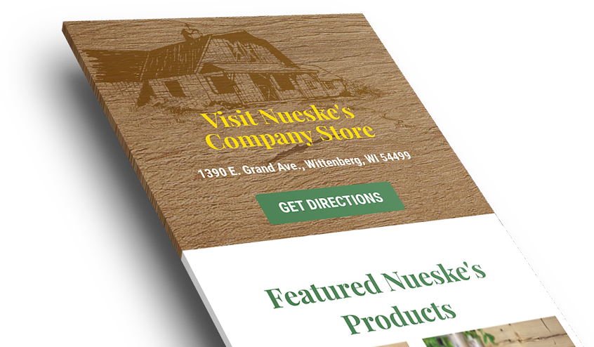 American Eagle Website Design Reviews Idev Ecommerce - Flyer (846x494), Png Download