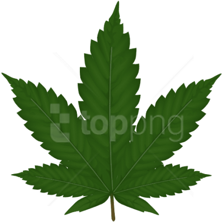 Free Png Download Cannabis Clipart Png Photo Png Images - Weed Clipart (480x679), Png Download
