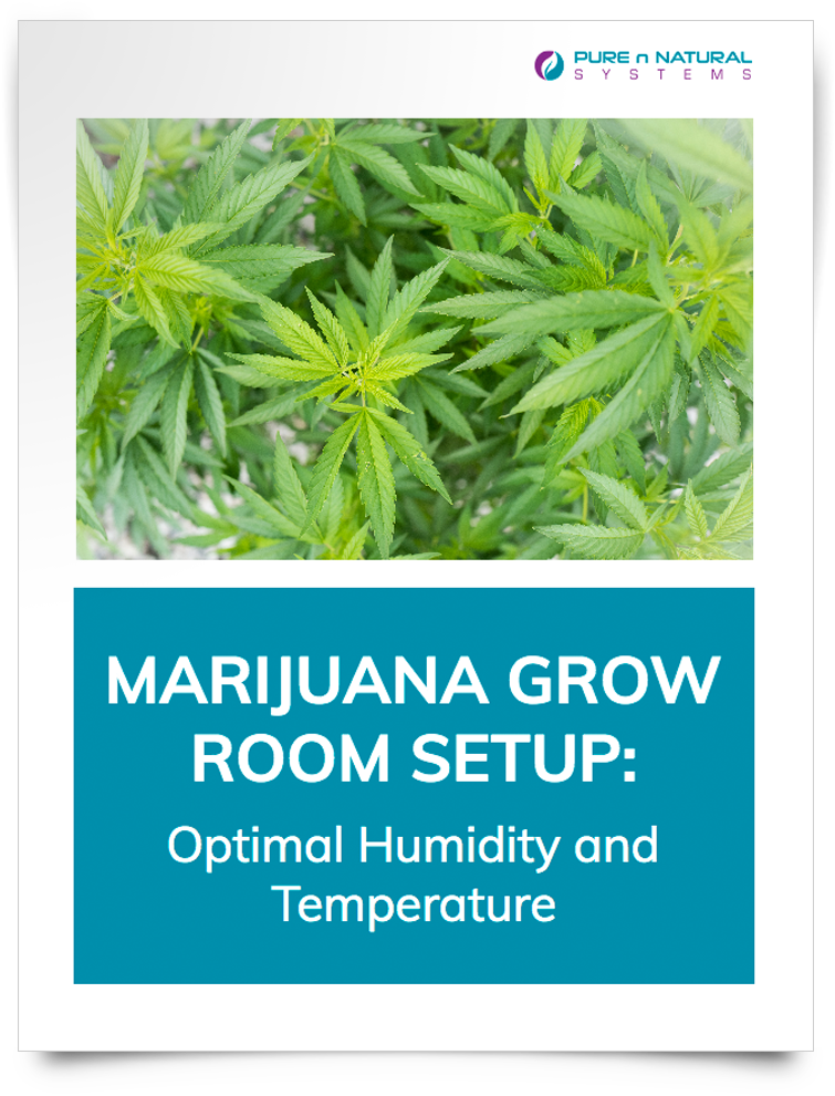 Grow Room Setup-download Cover - Herbal (816x1014), Png Download