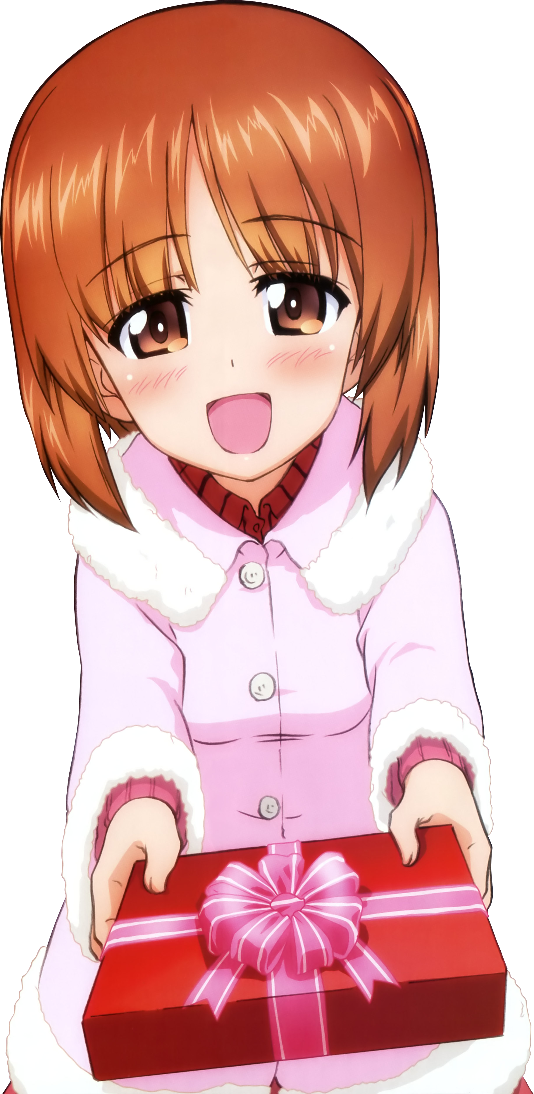 View Samegoogleiqdbsaucenao Mihopresr , - Girls Und Panzer Valentines Day (1826x3734), Png Download