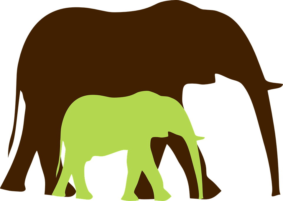 Asian Elephant Clipart Elephant Herd - Mommy And Baby Elephant Png (960x683), Png Download