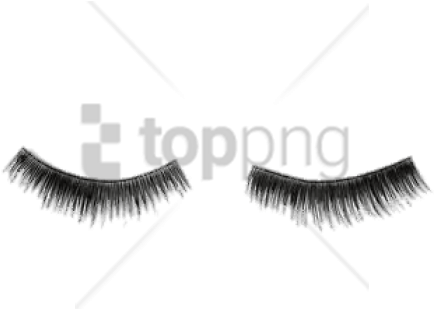 Free Png Download False Lower Eyelashes Png Images - Eyelash (480x672), Png Download