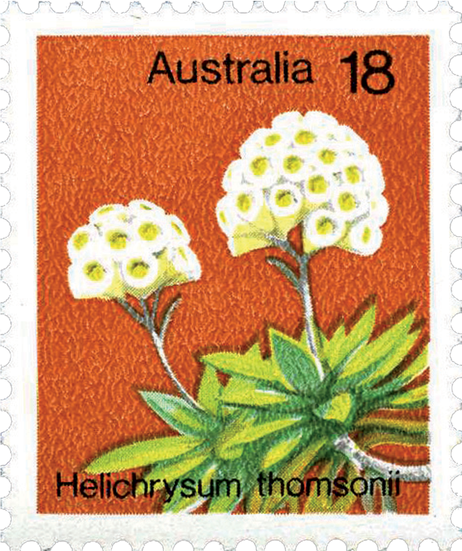 Australian Postage Stamps 18c White Flower (1209x1200), Png Download