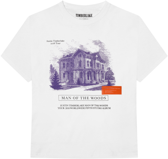 Prices Range From $40-$80 - Feiras Novas T Shirt (733x1100), Png Download