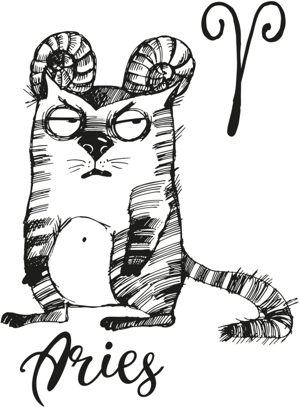 Aries Are The Best Men's Printed T Shirt - Zodiac (735x1040), Png Download