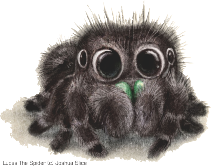 Informasi Seputar Tarantula Dan Kalajengking - Cute Spiders To Draw (800x637), Png Download