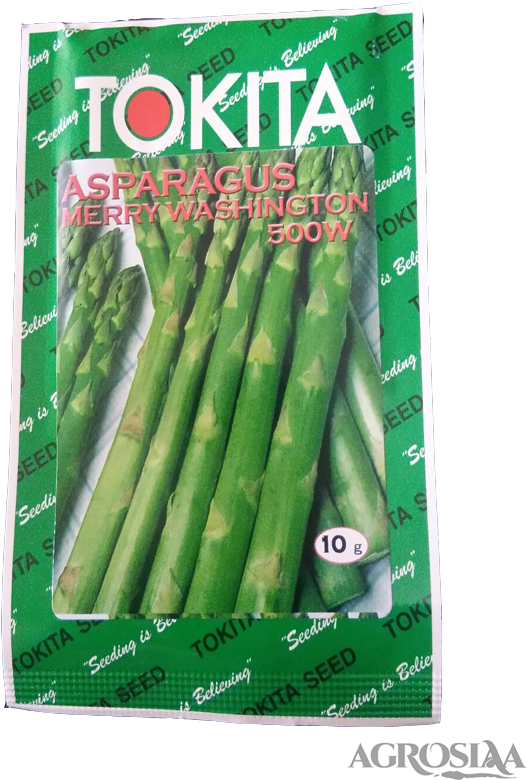 Tokita - Asparagus (567x850), Png Download