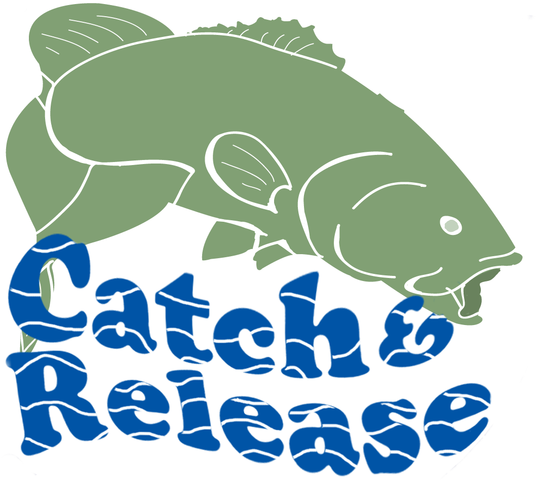 Because A Bass Is Too Valuable To Catch Only Once - Catch And Release (1076x970), Png Download