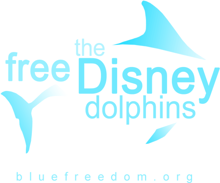 Shark (720x432), Png Download