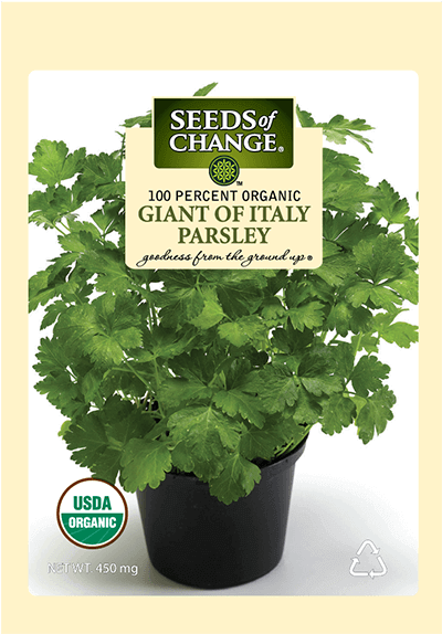 Organic Giant Of Italy Parsley Seeds - Usda Organic (573x573), Png Download