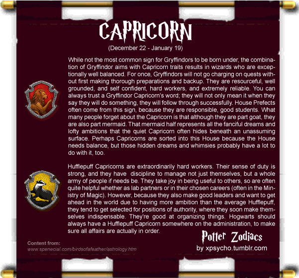 Man, I Wish Some Of This Was True - Pottermore Ravenclaw (607x559), Png Download
