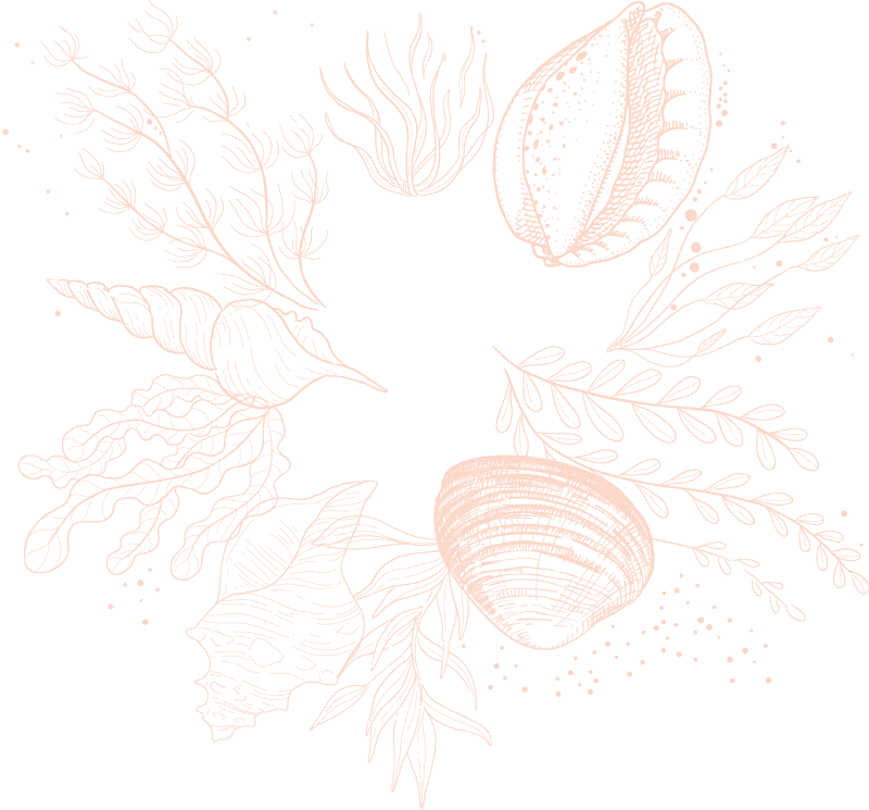 Sketch (800x745), Png Download