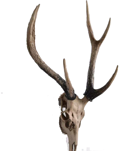 Deer Head Decor - Three Hands Resin Deer Head Wall Decor (500x500), Png Download