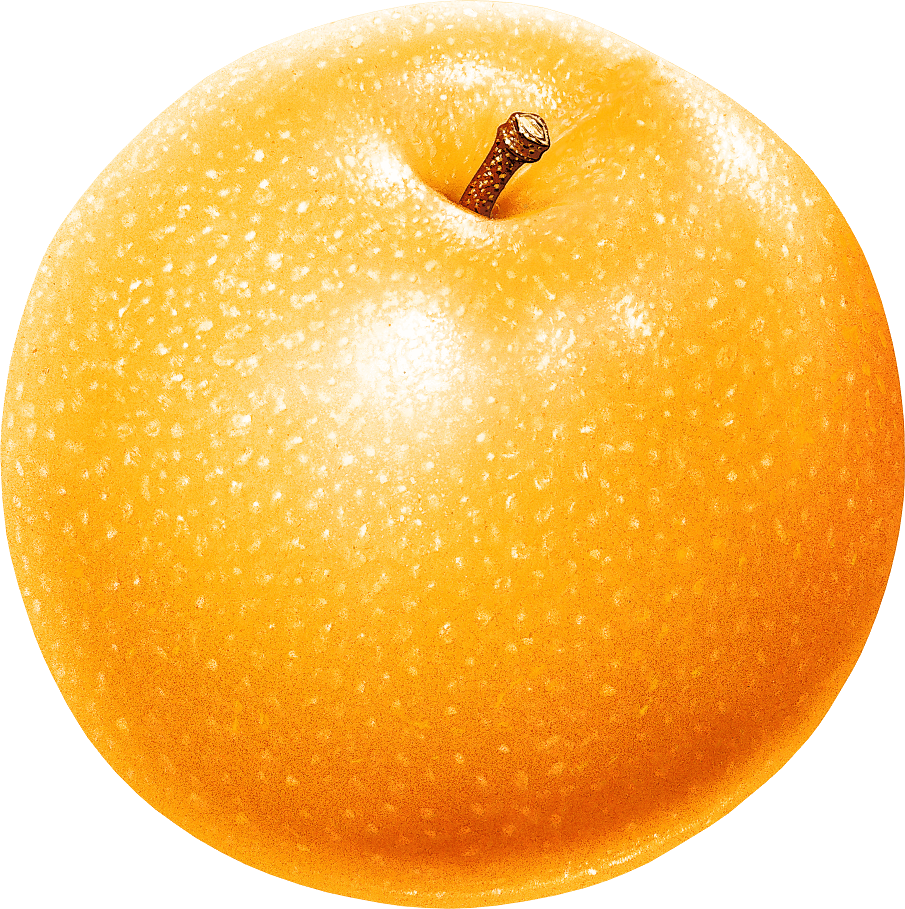 Orange And Apple Png (1812x1820), Png Download