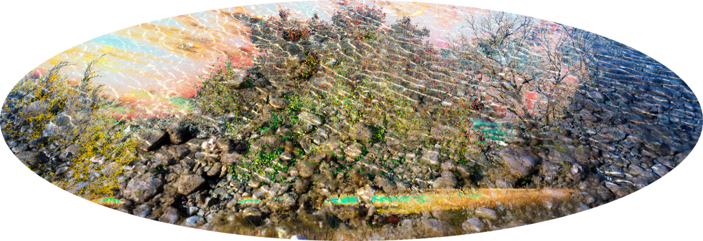 Hdl9 - - Moss (1024x351), Png Download