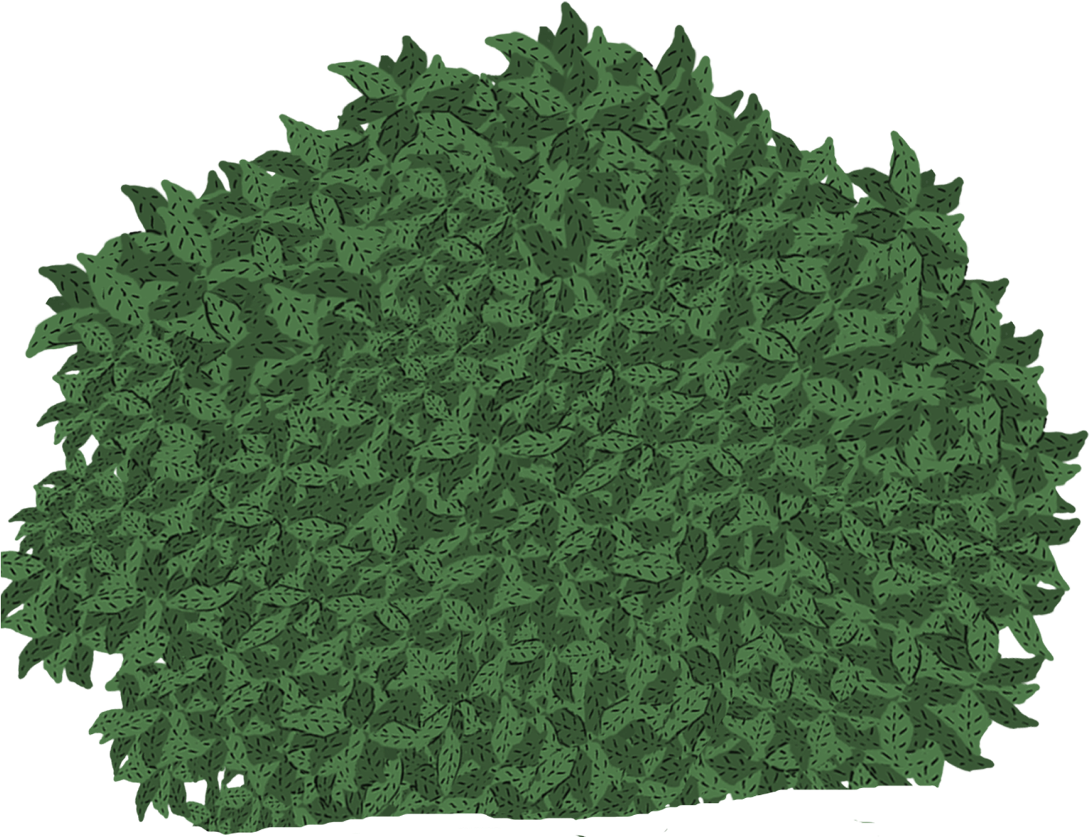Hanging Moss - (1600x1600), Png Download