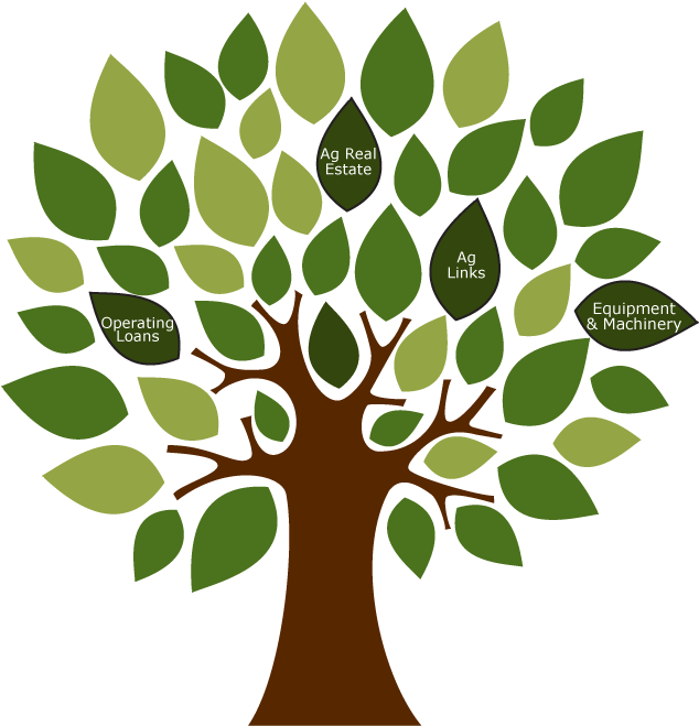 Transparent Plant Agricultural - Green Color Day Activities (638x666), Png Download