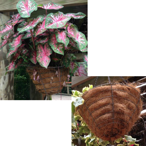Download Hanging Baskets Lined With Peat Moss Peat Moss Full Size