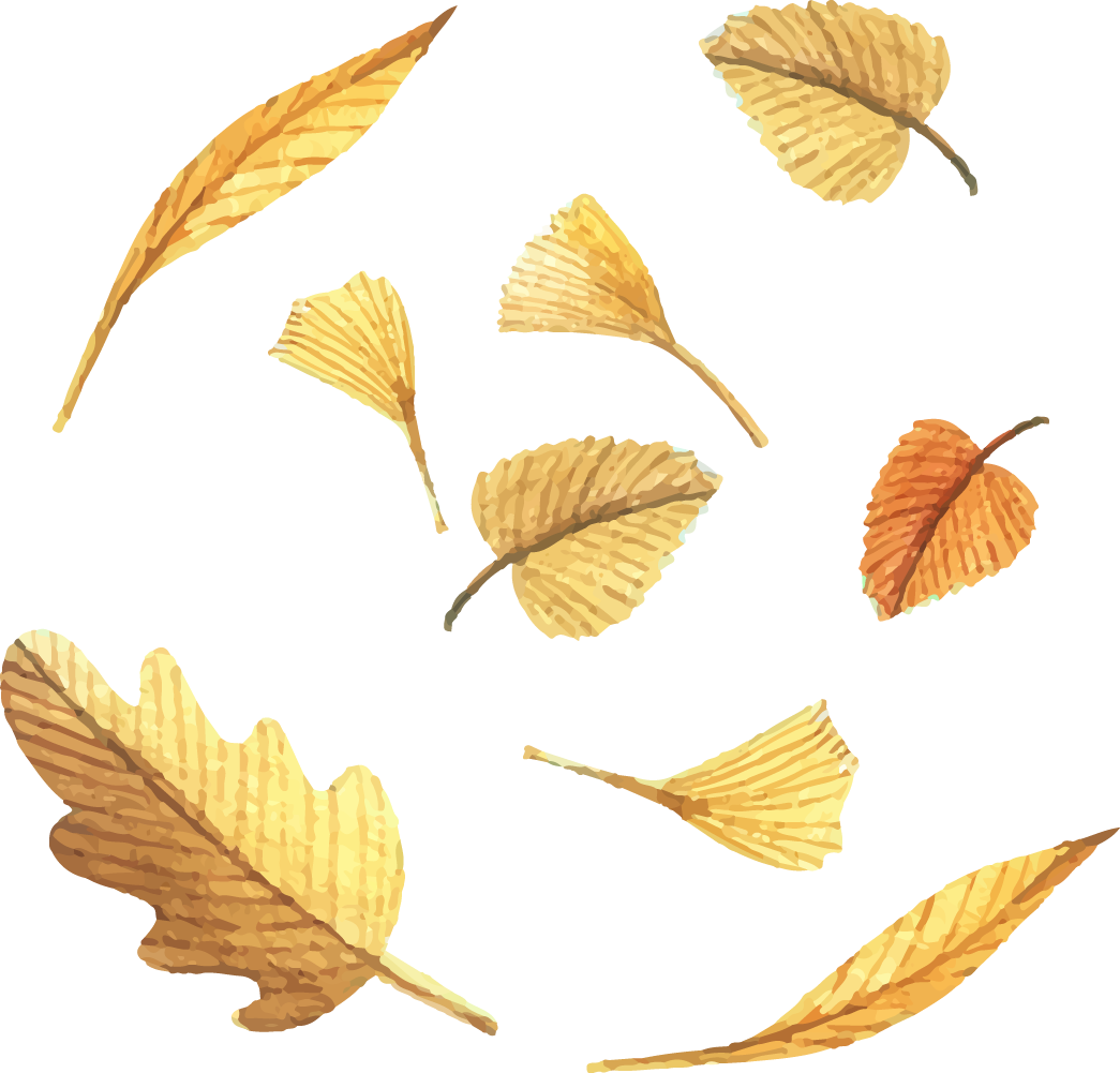 Jpg Royalty Free Stock Leaf Euclidean Painted Golden - Golden Leaf Vector (1045x1001), Png Download