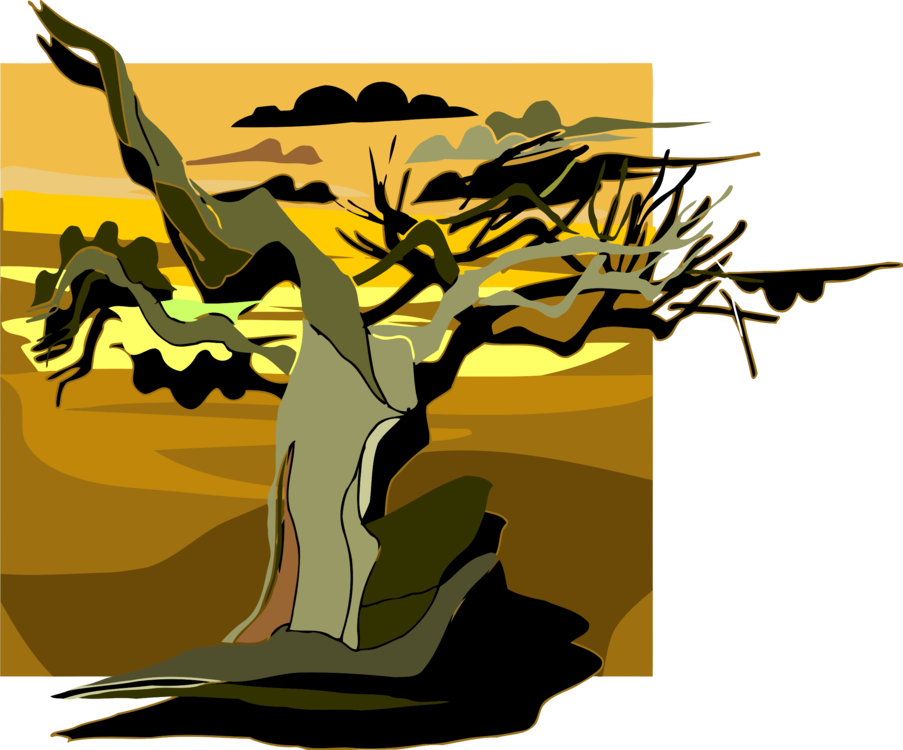 Tree Computer Icons Sunset Shimmer Forest - Clip Art (903x750), Png Download