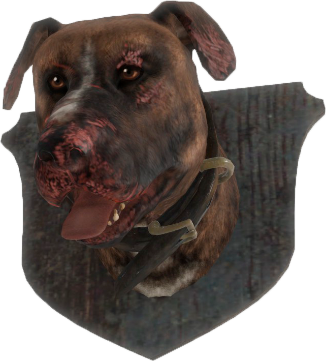 Fo4 Mounted Dog Head - Dog (642x710), Png Download