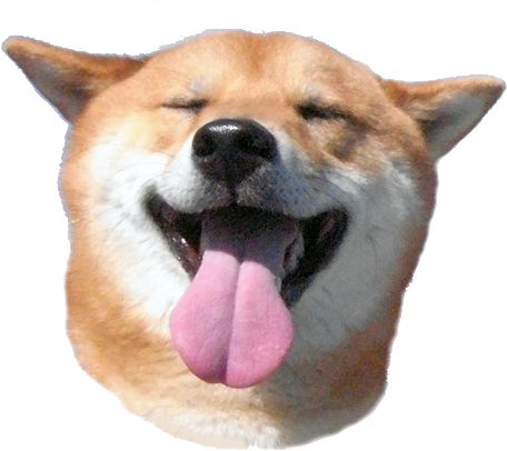 Kobosu Head Super Smile - Shibe Png (480x480), Png Download