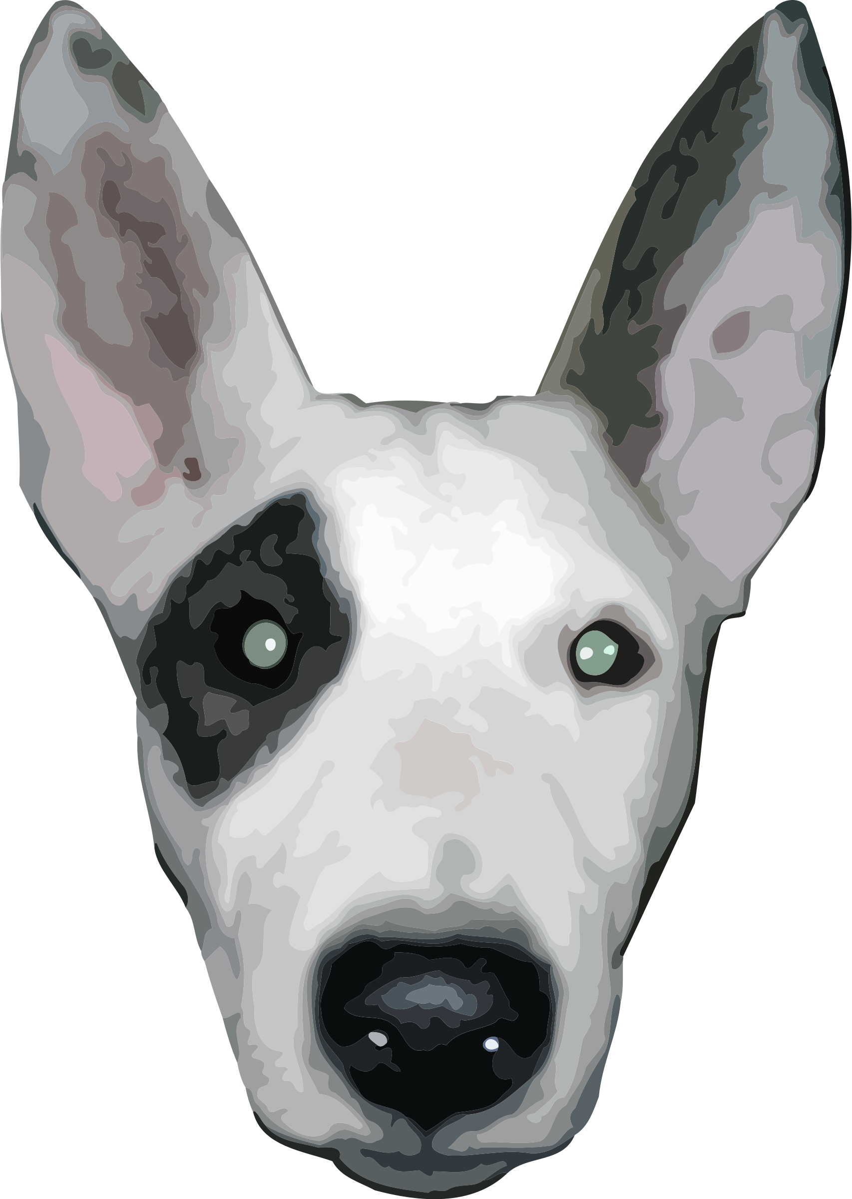 Bull Terrier Face Png (420x592), Png Download