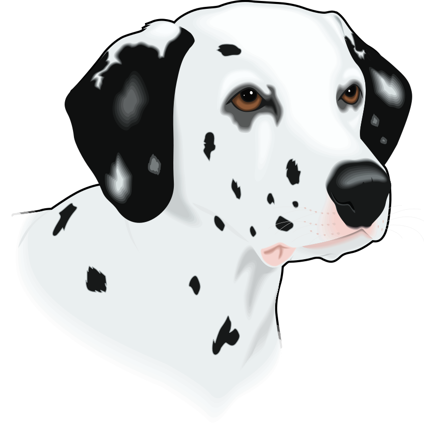 Clipart Png File Tag List, Clip Arts Svg File - Dalmatian Head Clip Art (866x900), Png Download