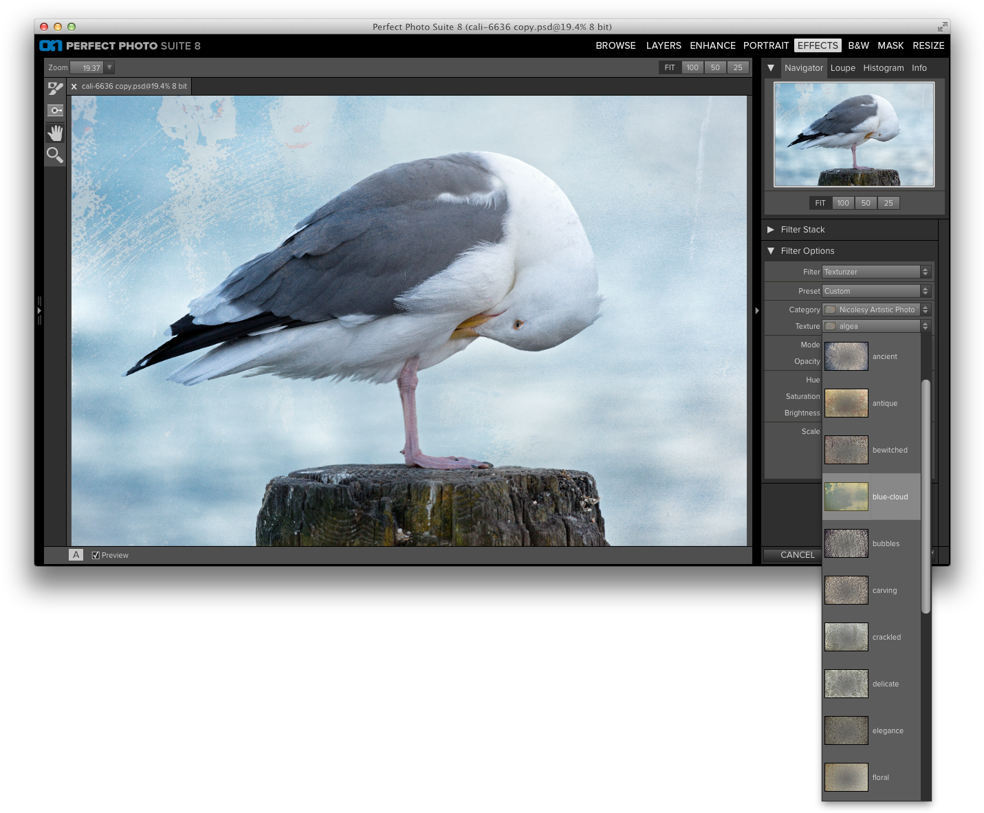 Select The Texture You Want To Use From The "texture" - Great Black-backed Gull (1446x1189), Png Download