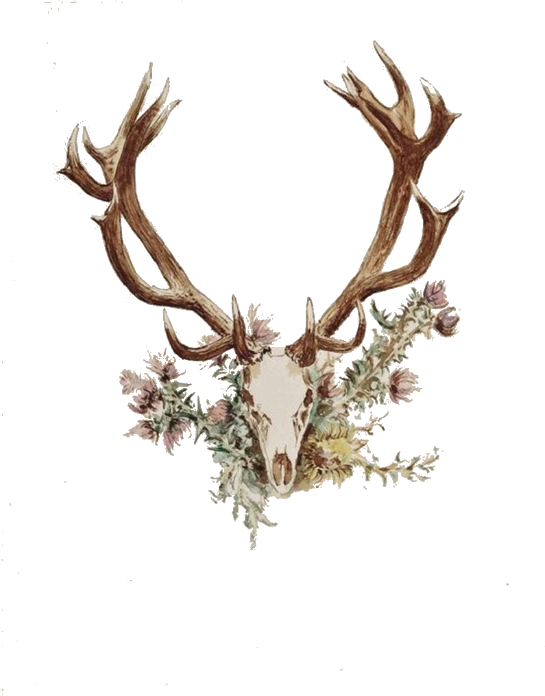 Deer Antler Png - Antlers And Flowers Tattoo (800x1028), Png Download