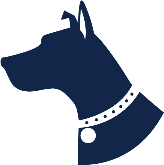 Dog Services - Companion Dog (750x796), Png Download
