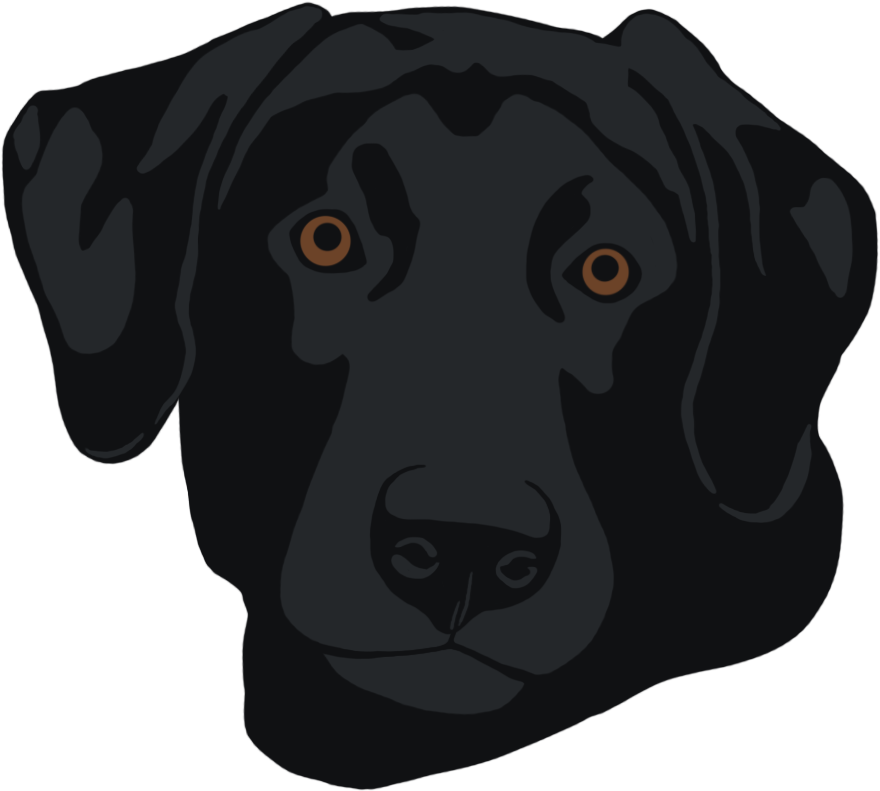 Black Lab Head - Black Lab Head Png (900x900), Png Download