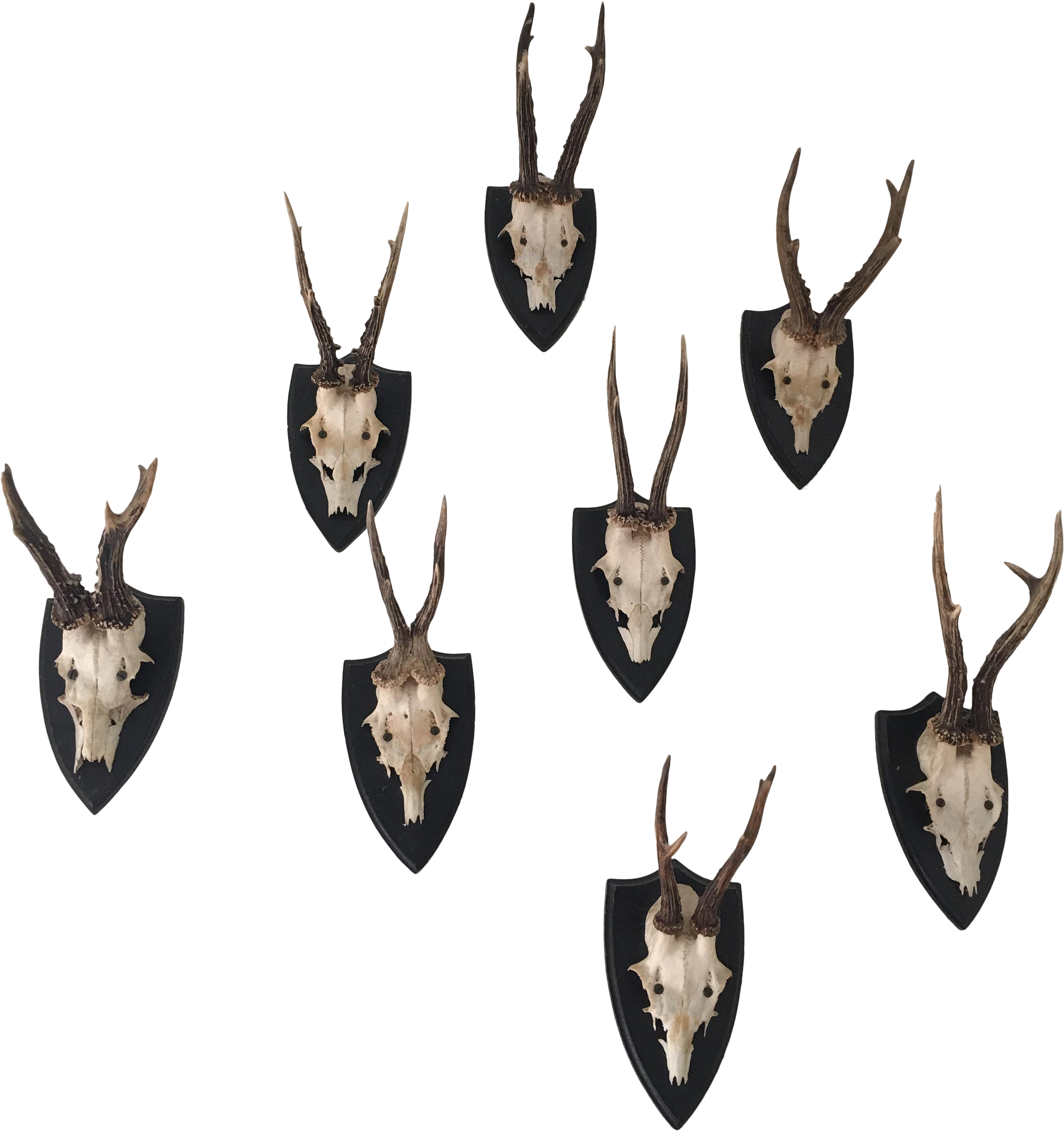 Deer Antler Png Graphic Black And White - Deer (3216x3420), Png Download