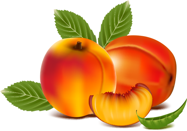 Jpg Library Library Juice Peach Transprent Png Free - Peach Fruit Clipart (750x800), Png Download