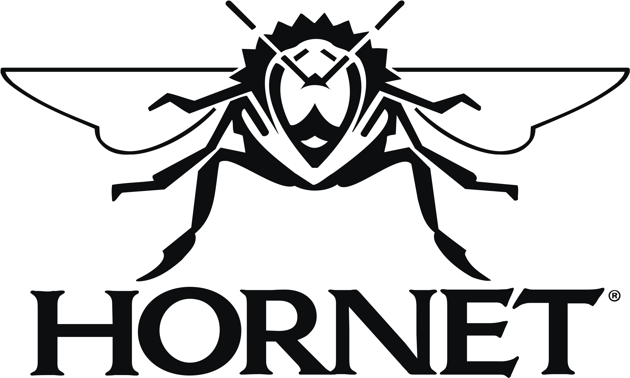Hornet Logo Png Transparent - Logomarca Hornet (2400x2400), Png Download