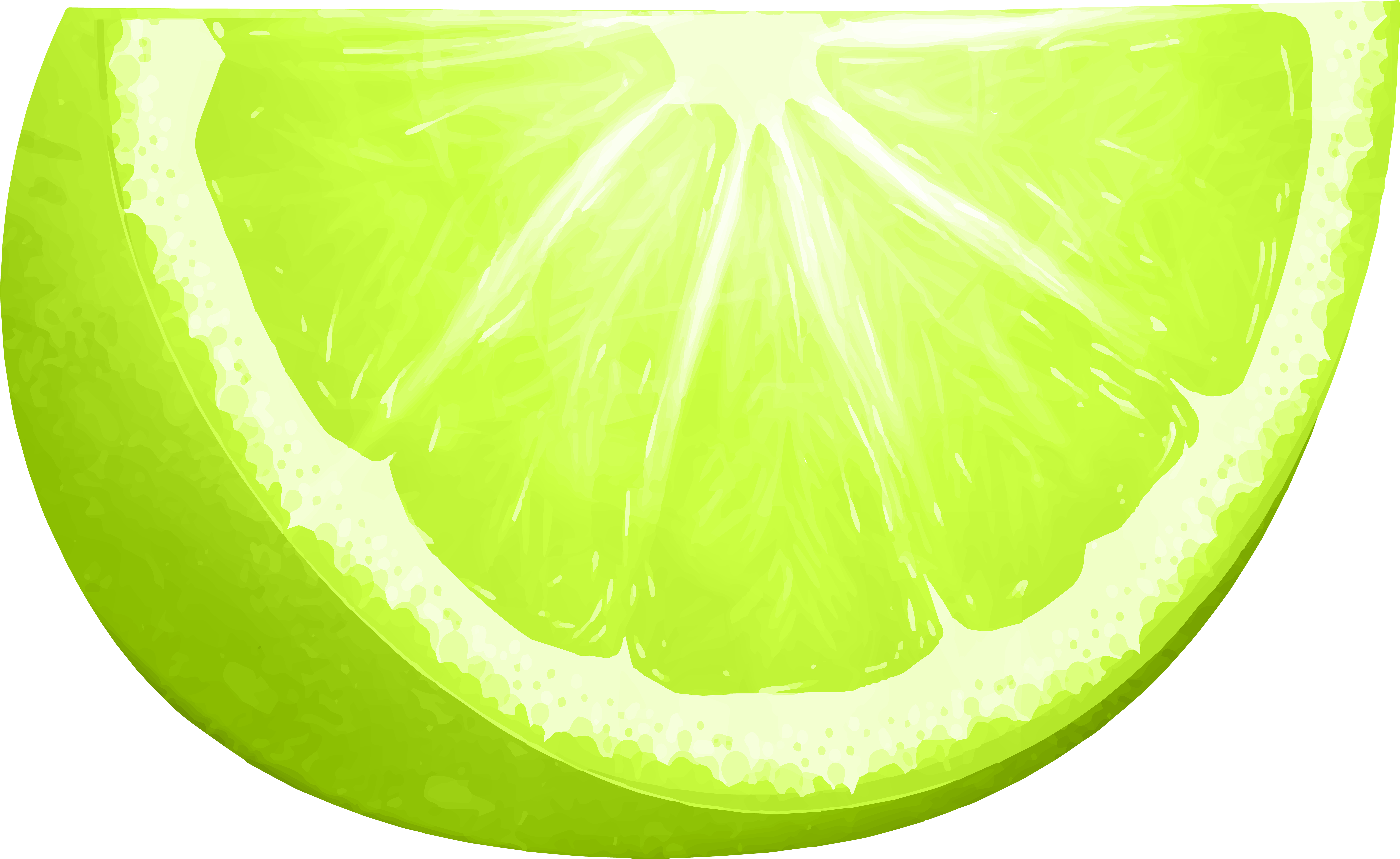 Lime Slice Png (8000x4906), Png Download