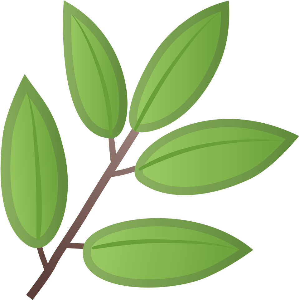 Herb Icon - Emoji Feuille (1024x1024), Png Download