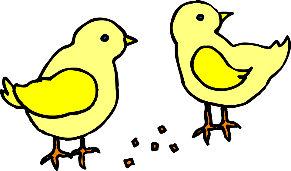 Chicks With Feed Clip Art At Clker - Chicks Pictures Clip Art (600x355), Png Download