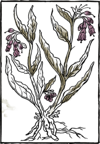 Book Herb13 - Book (330x472), Png Download