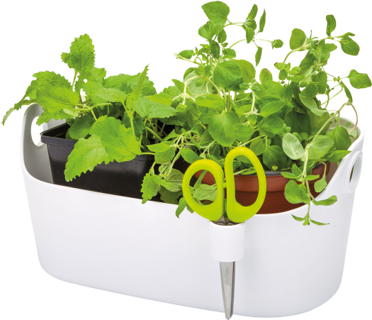 Home > Collection > Brussels Herbs Station - Elho Brussels Herbs Station White (750x750), Png Download