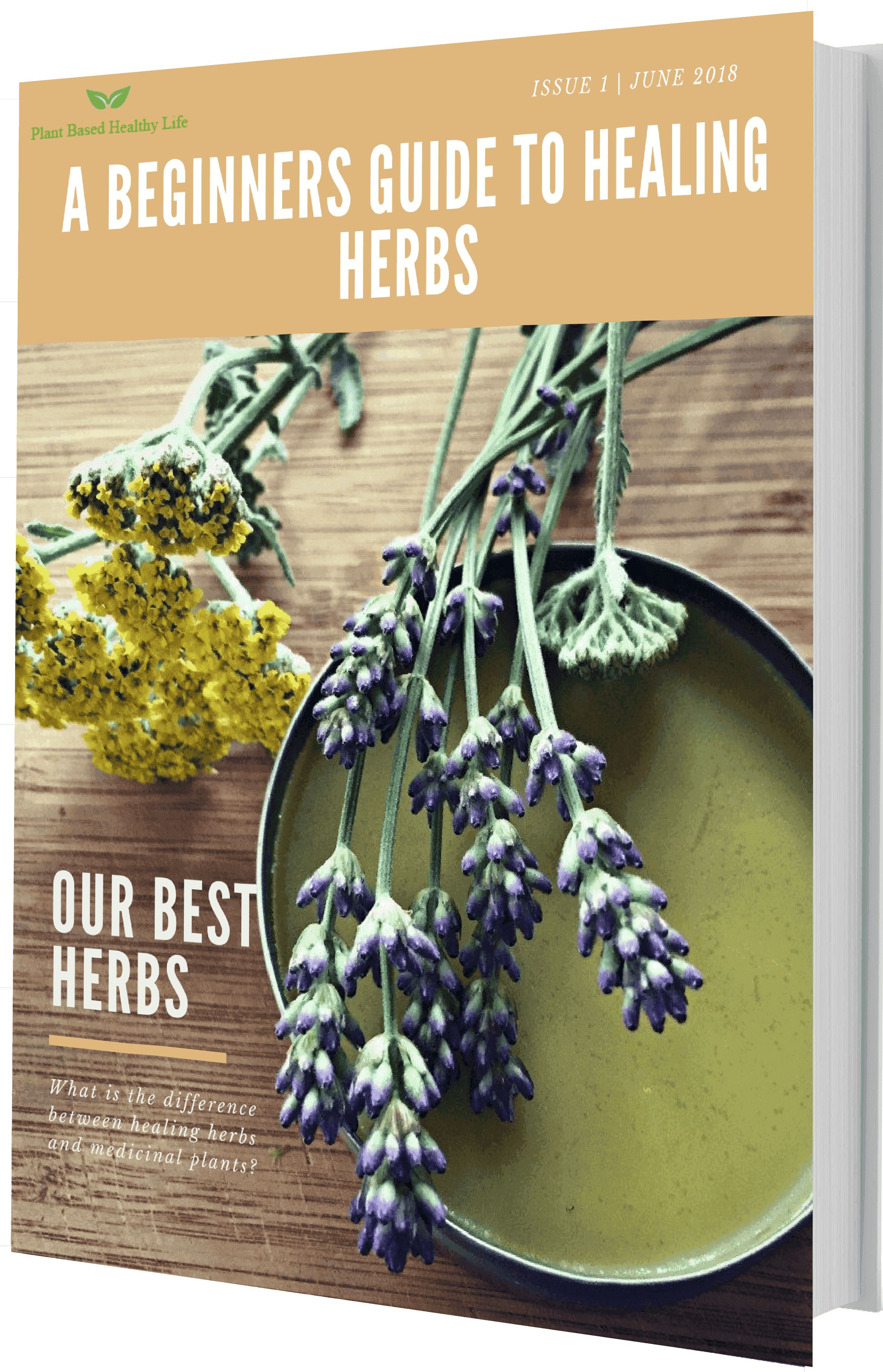 7c608bae16c01519268193 Herb 3d Book Cover Reduced Twice - Herb (2573x4000), Png Download