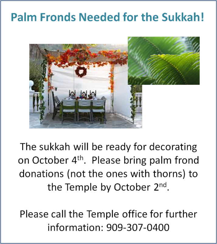 Attalea Speciosa (713x800), Png Download