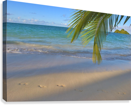 Hawaii, Oahu, Footprints In The Sand At Lanikai Beach - Great Big Canvas Tomas Del Amo Premium Thick-wrap Canvas (428x344), Png Download