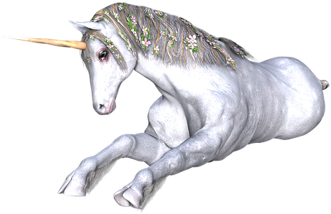 Unicorn, Fantasy, Fairy, Tale, White - Unicorn (498x340), Png Download