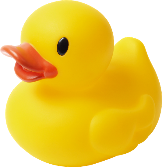 Duck Transparent Ducky - Rubber Duck Transparent Background (532x550), Png Download