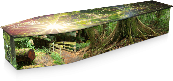 Expression Cofins - Rainforest (800x536), Png Download