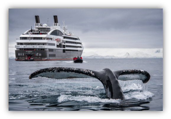 Videoflow Maritime Cruise - Cruise Ship Antarctica (586x412), Png Download