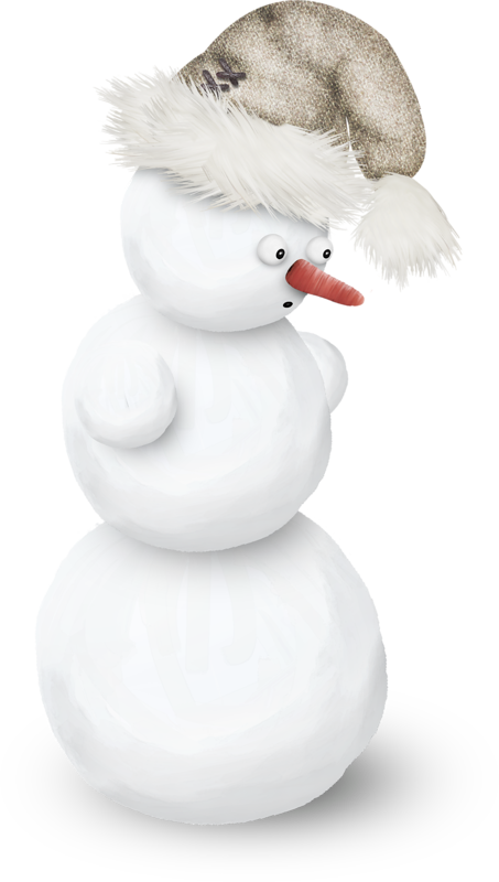 Bonhomme De Neige,tube,png - Duck (453x800), Png Download