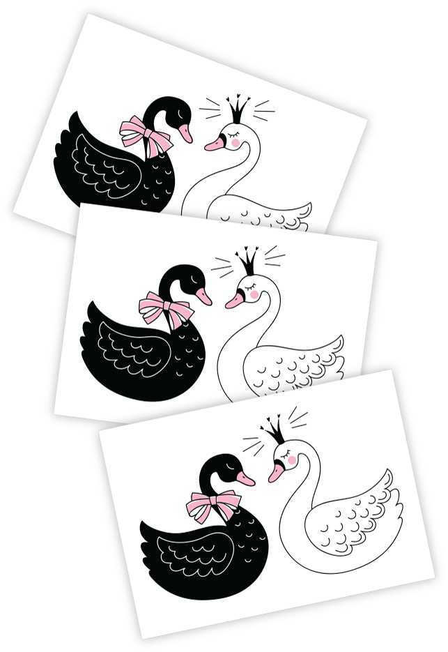 Swans - Ballet (810x1080), Png Download