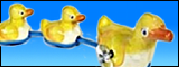Duck (600x315), Png Download